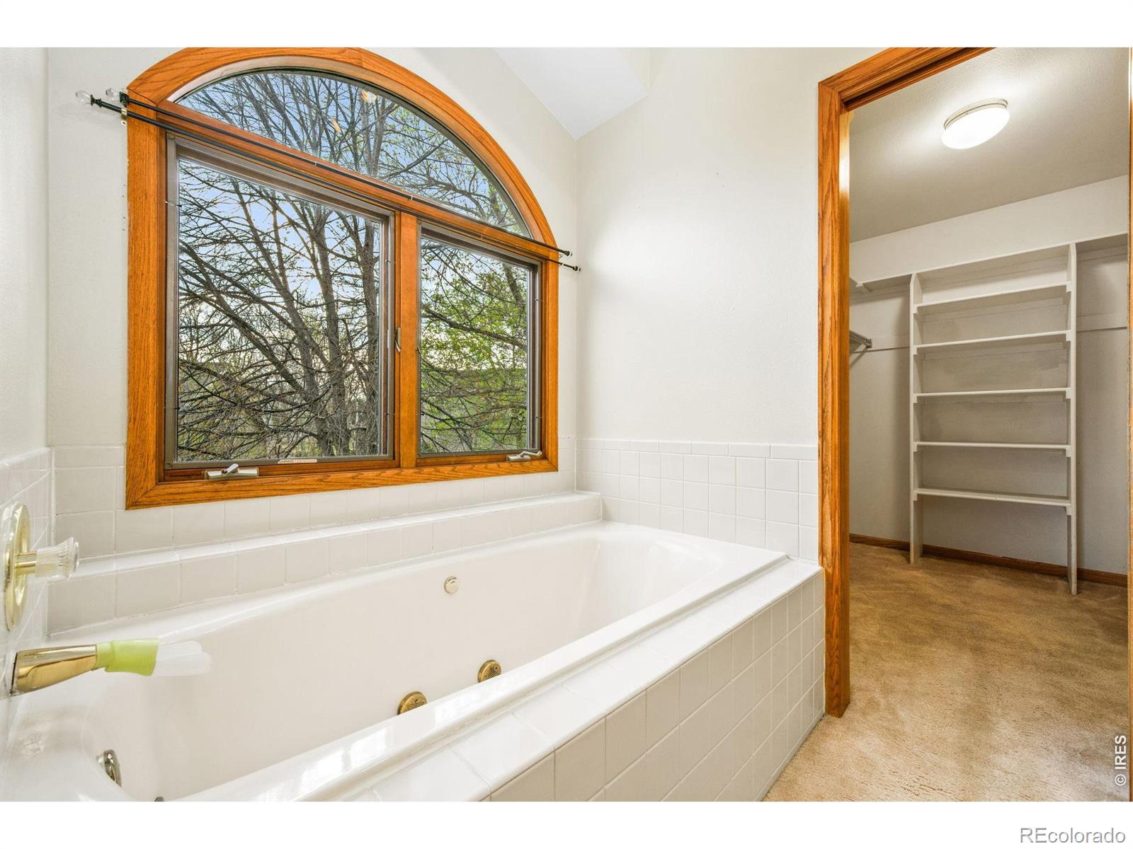 5207 Wheaton Drive Fort Collins CO 80525