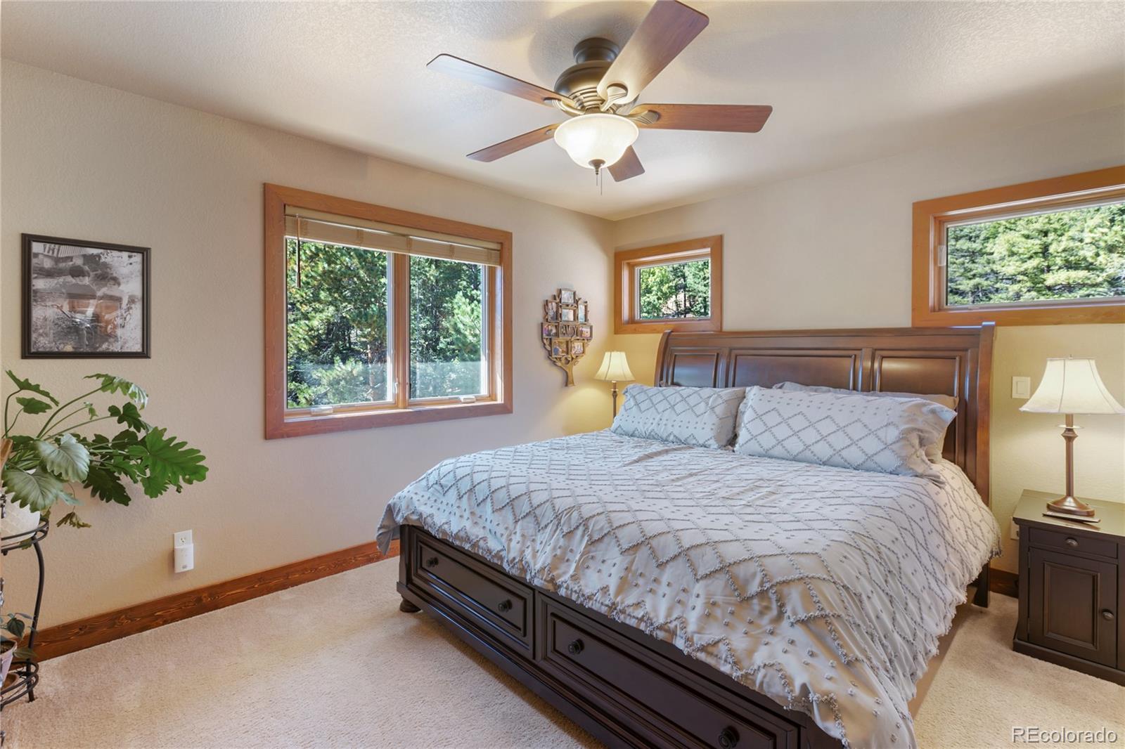 80 Feldspar Road Florissant CO 80816