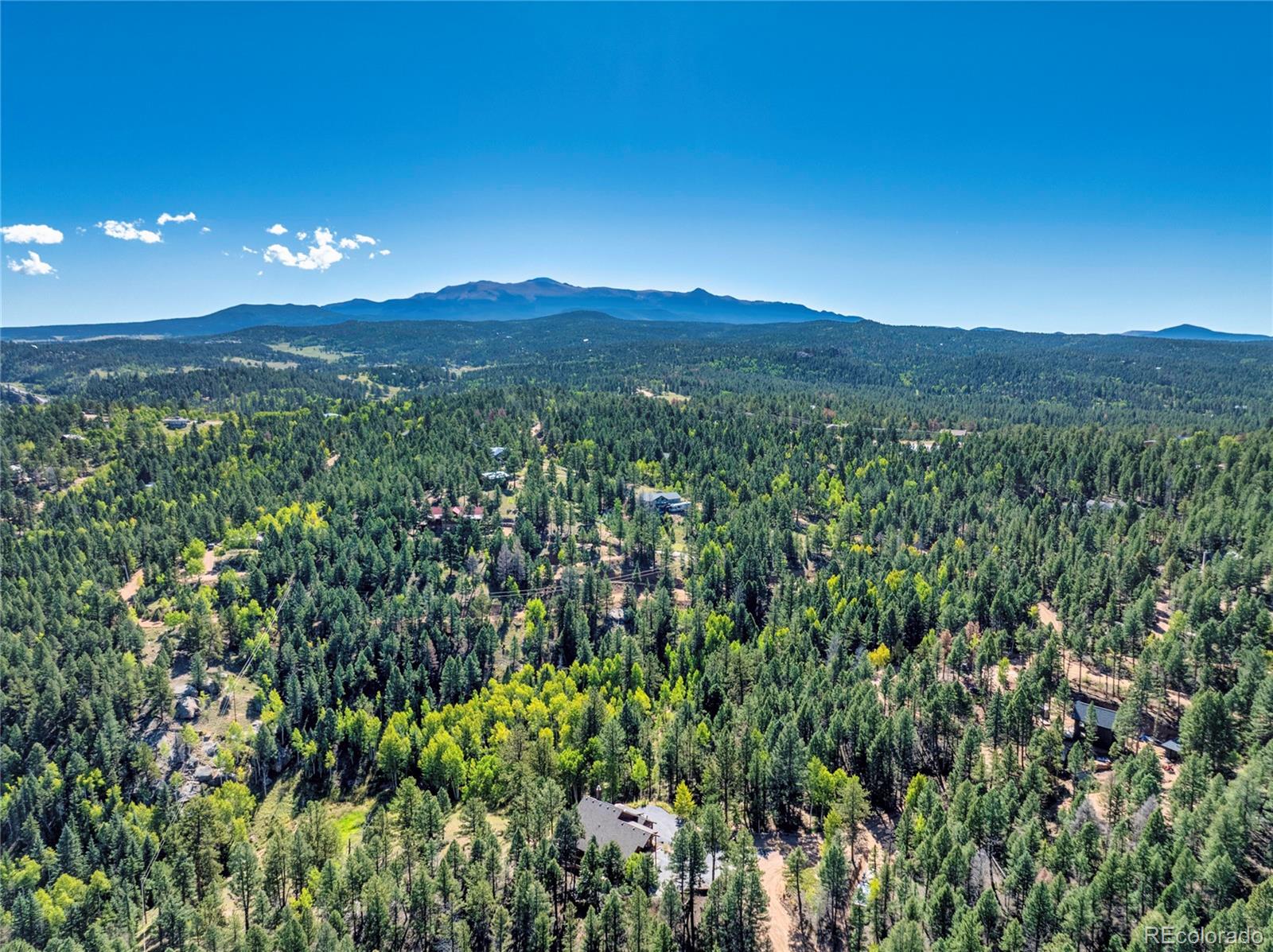 80 Feldspar Road Florissant CO 80816