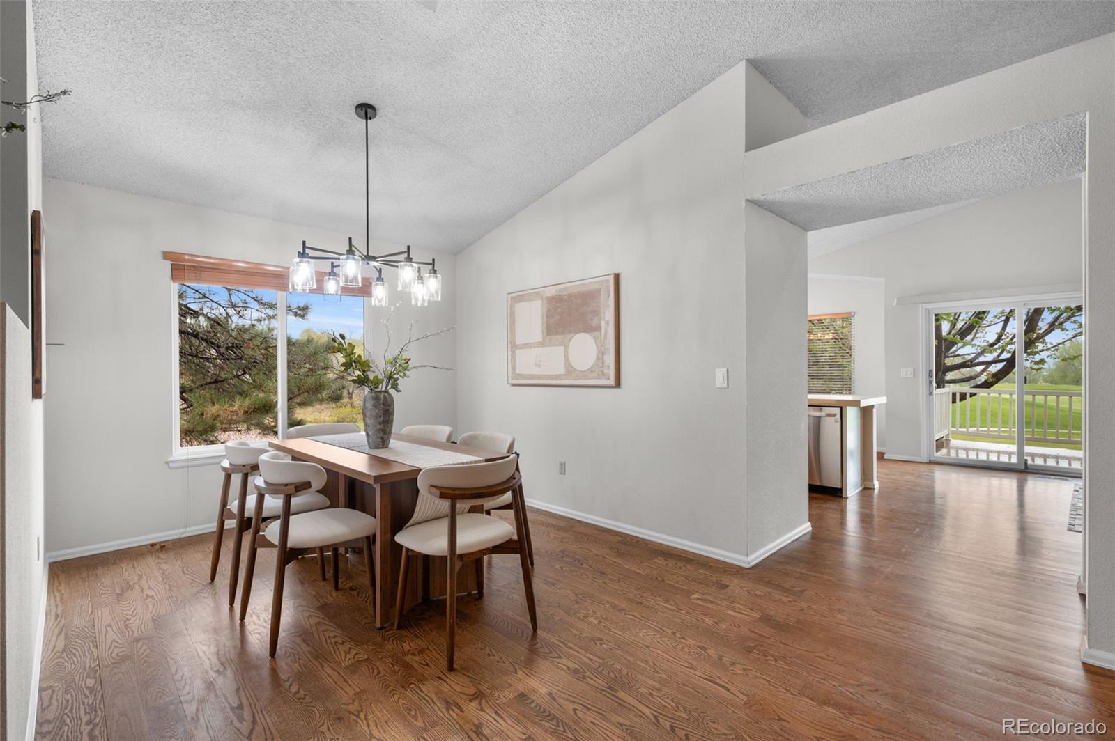 23 Abernathy Court Highlands Ranch CO 80130