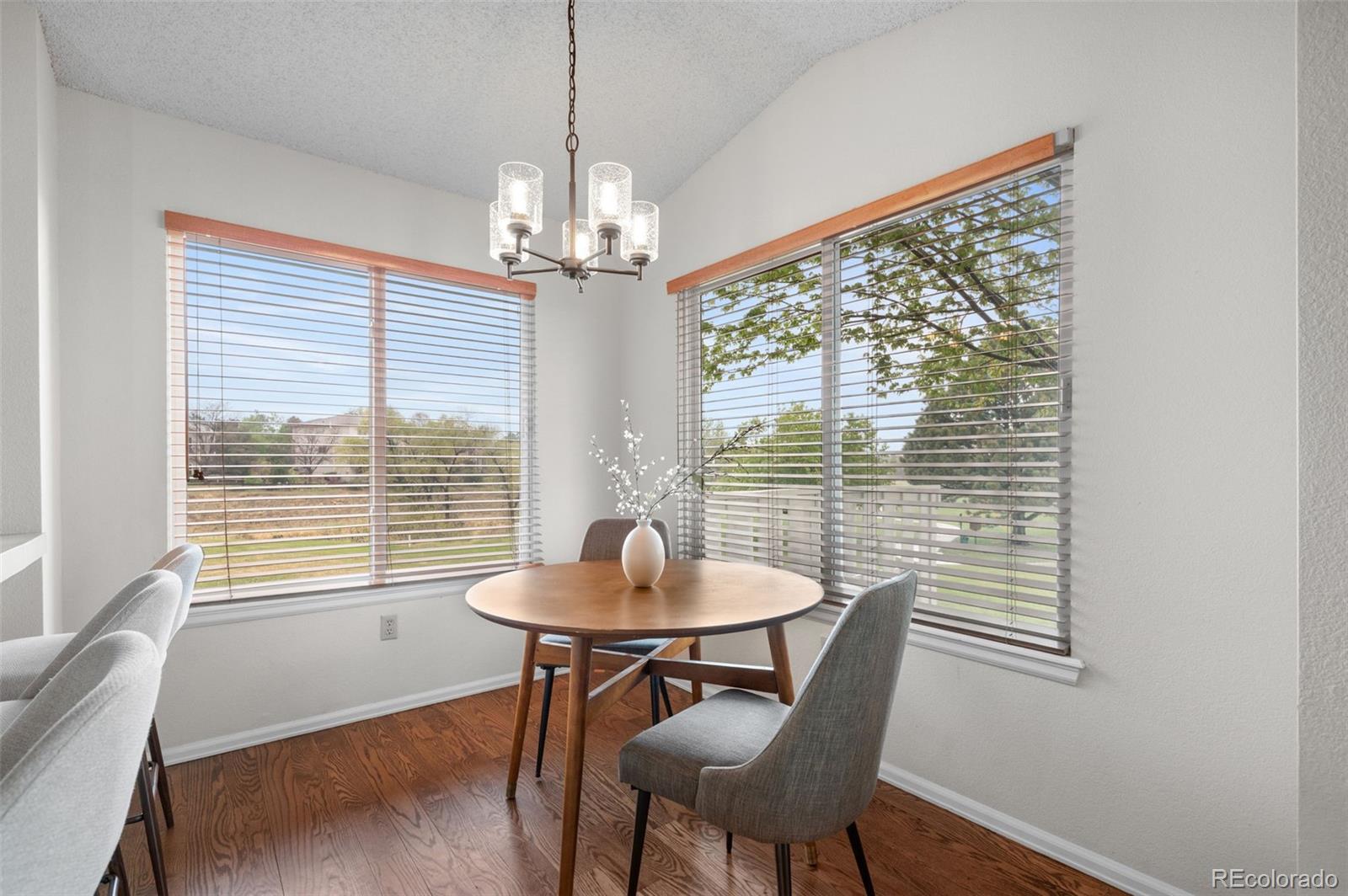 23 Abernathy Court Highlands Ranch CO 80130