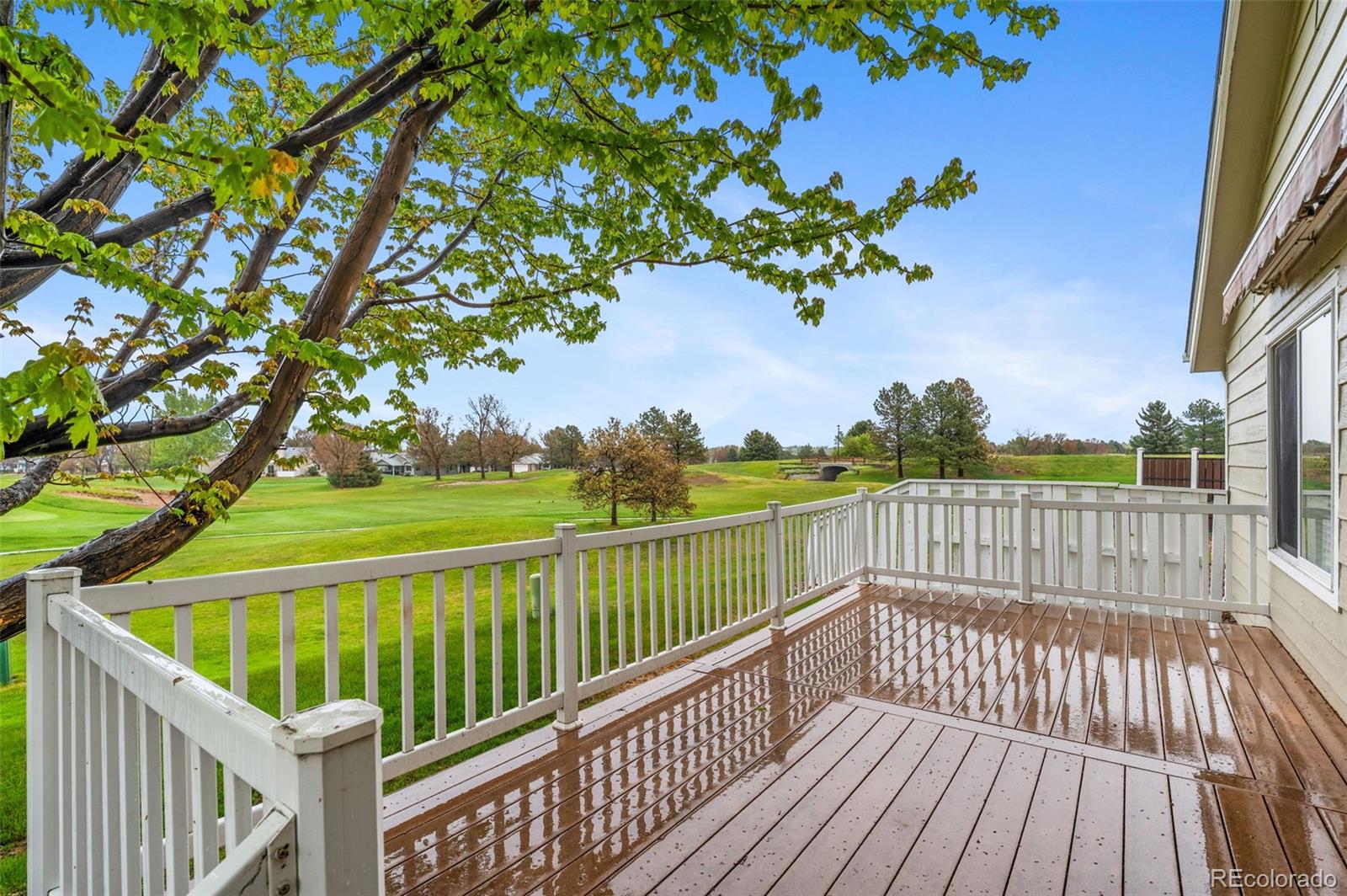 23 Abernathy Court Highlands Ranch CO 80130