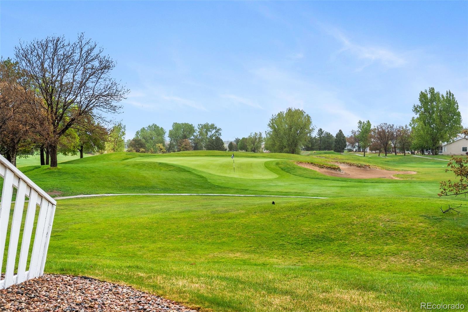 23 Abernathy Court Highlands Ranch CO 80130