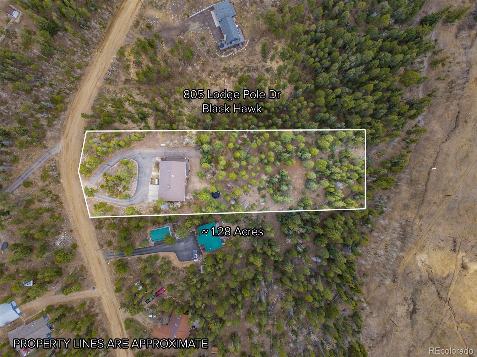 805 Lodge Pole Drive Black Hawk CO 80422