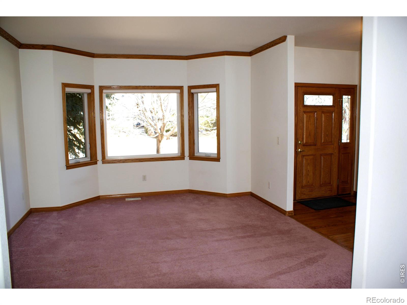 6576 Saddleback Avenue Firestone CO 80504