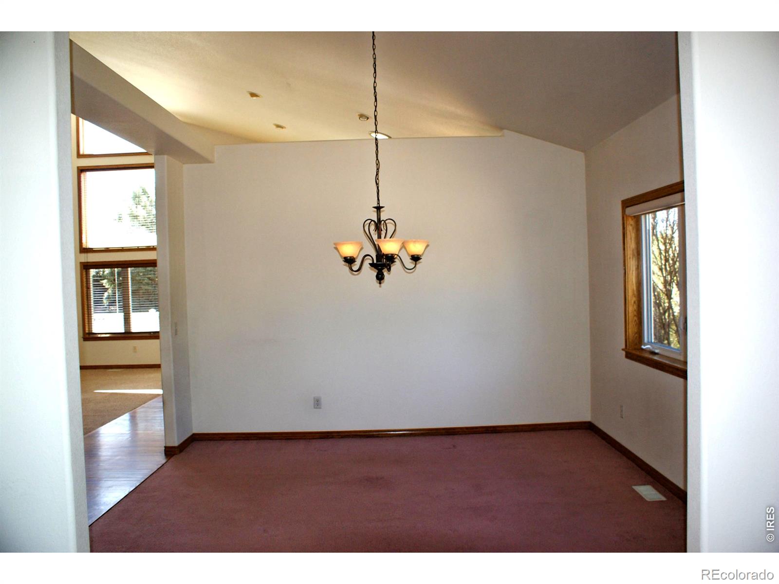 6576 Saddleback Avenue Firestone CO 80504