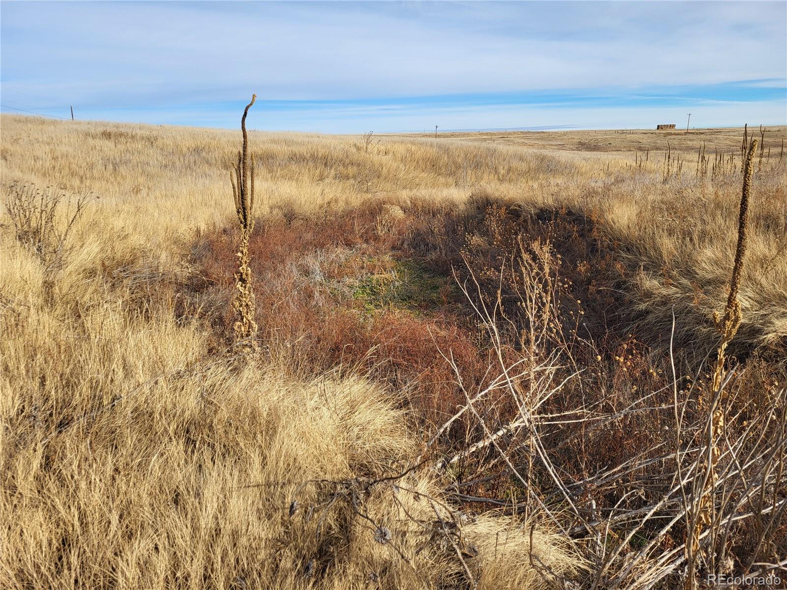 35635 County Road 160 Agate CO 80101