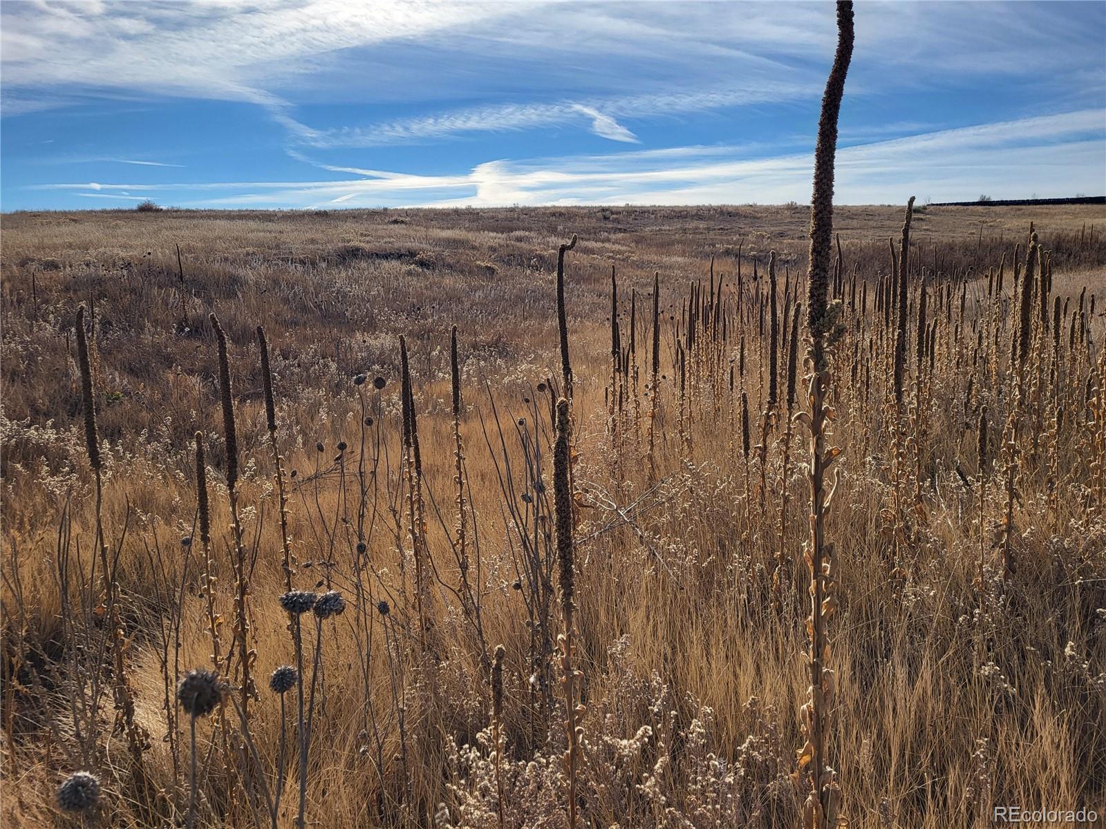 35635 County Road 160 Agate CO 80101