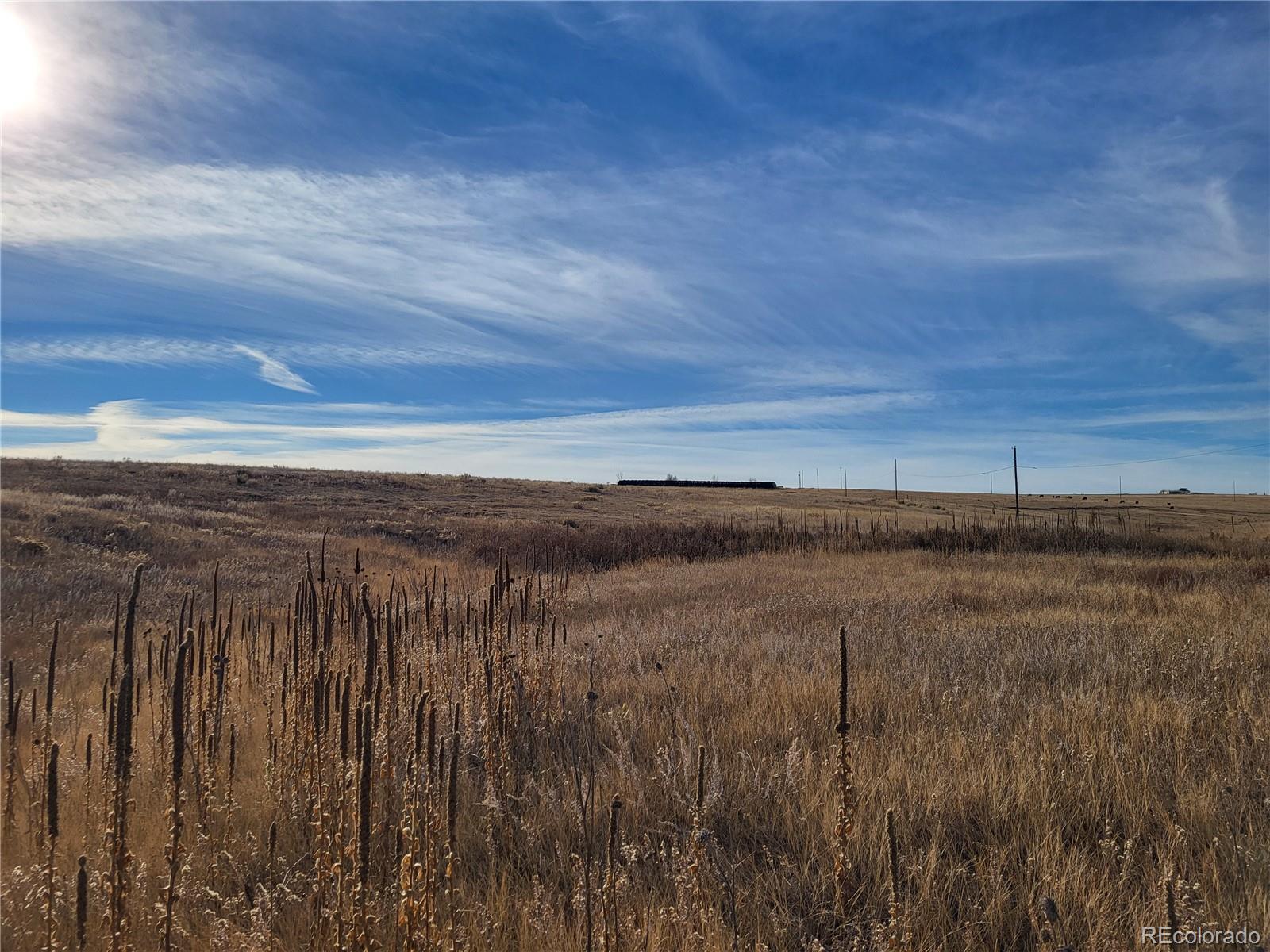 35635 County Road 160 Agate CO 80101