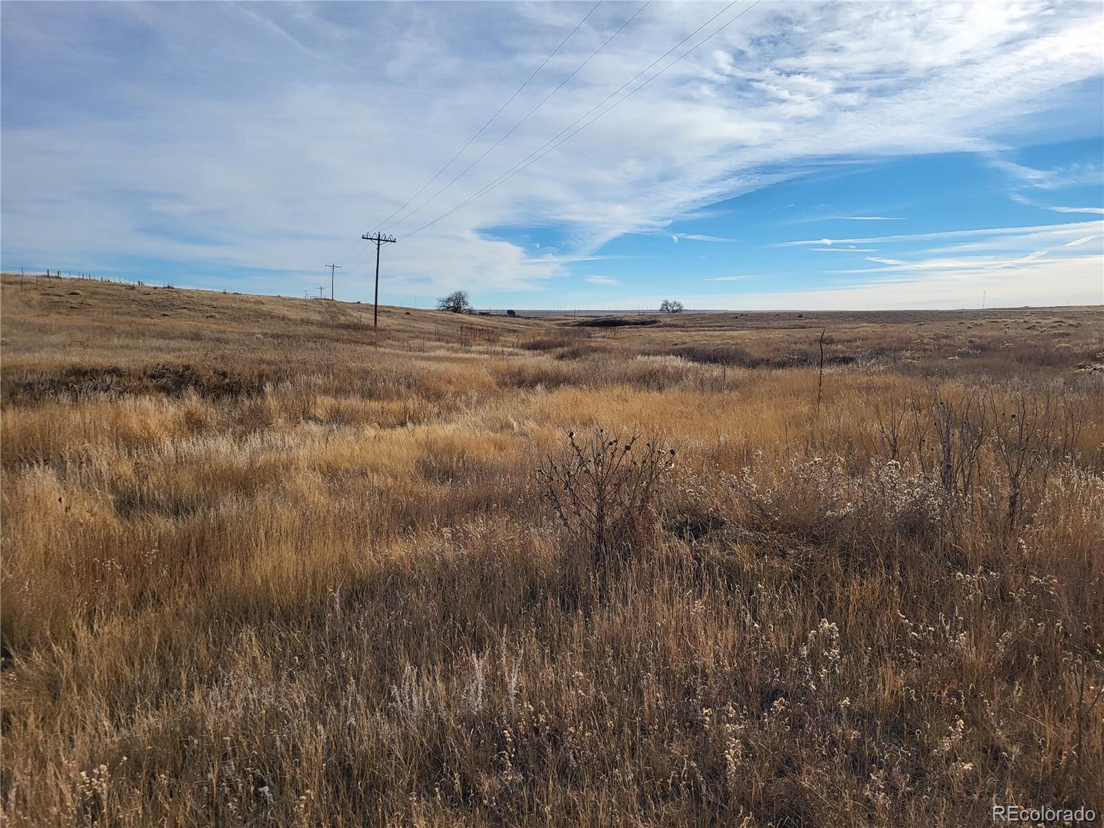35635 County Road 160 Agate CO 80101