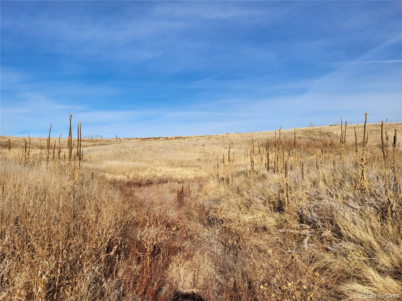 35635 County Road 160 Agate CO 80101