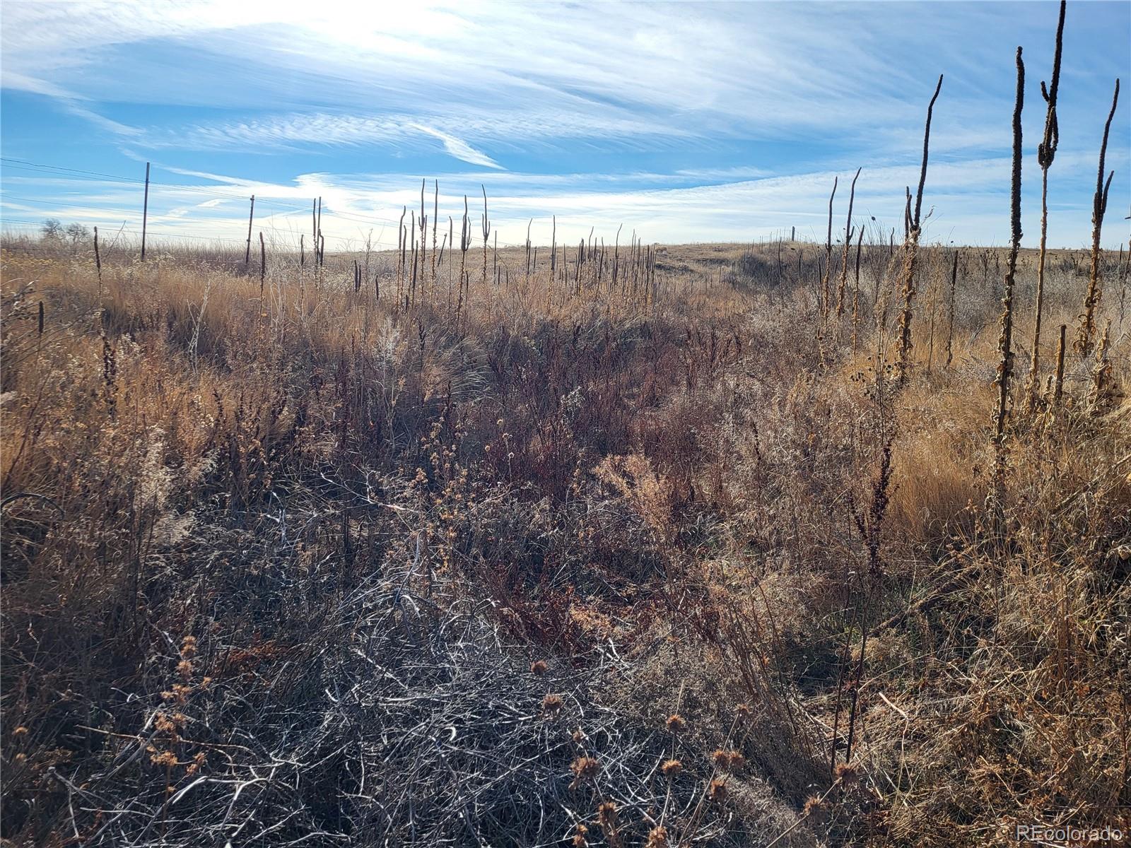 35635 County Road 160 Agate CO 80101