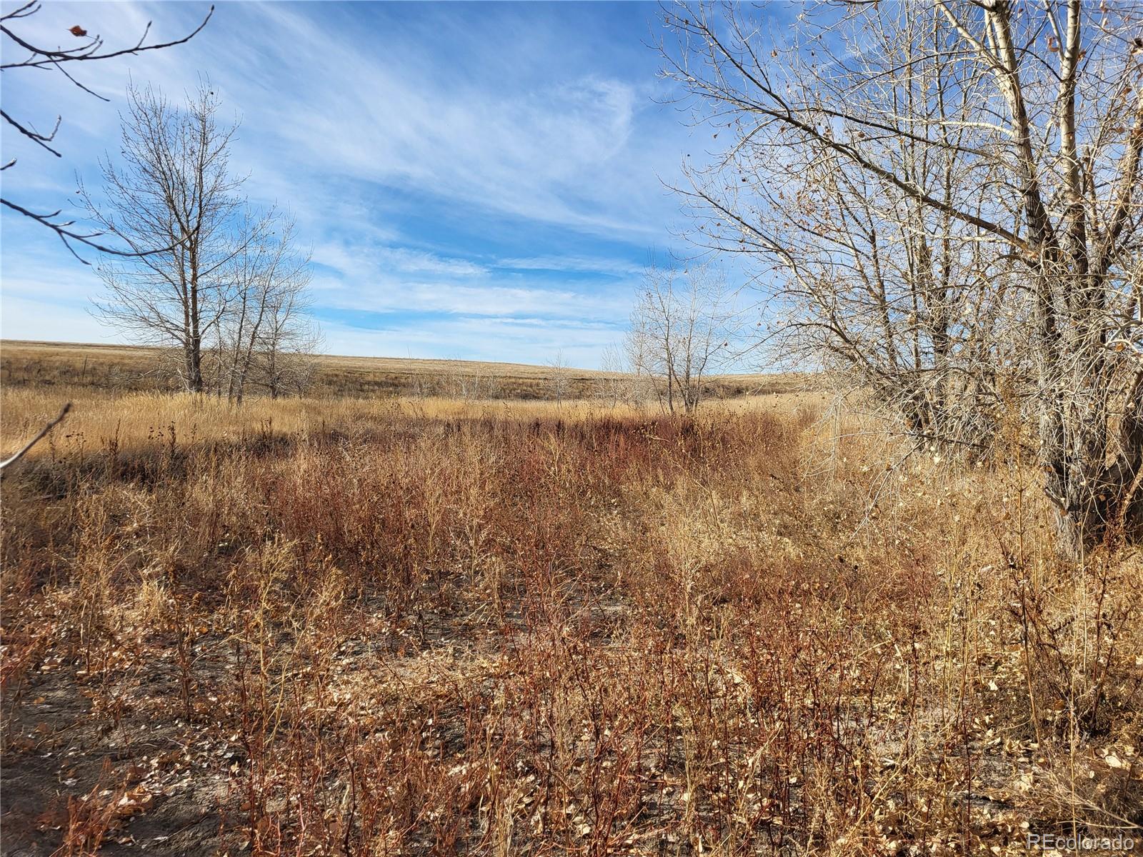 35635 County Road 160 Agate CO 80101
