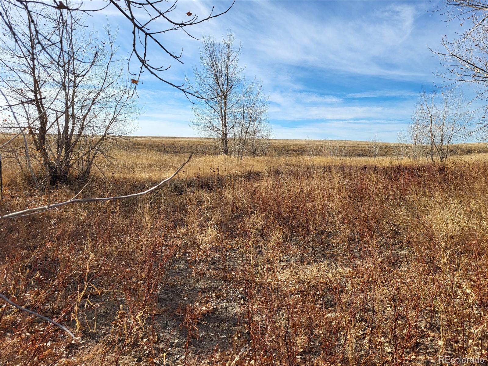35635 County Road 160 Agate CO 80101
