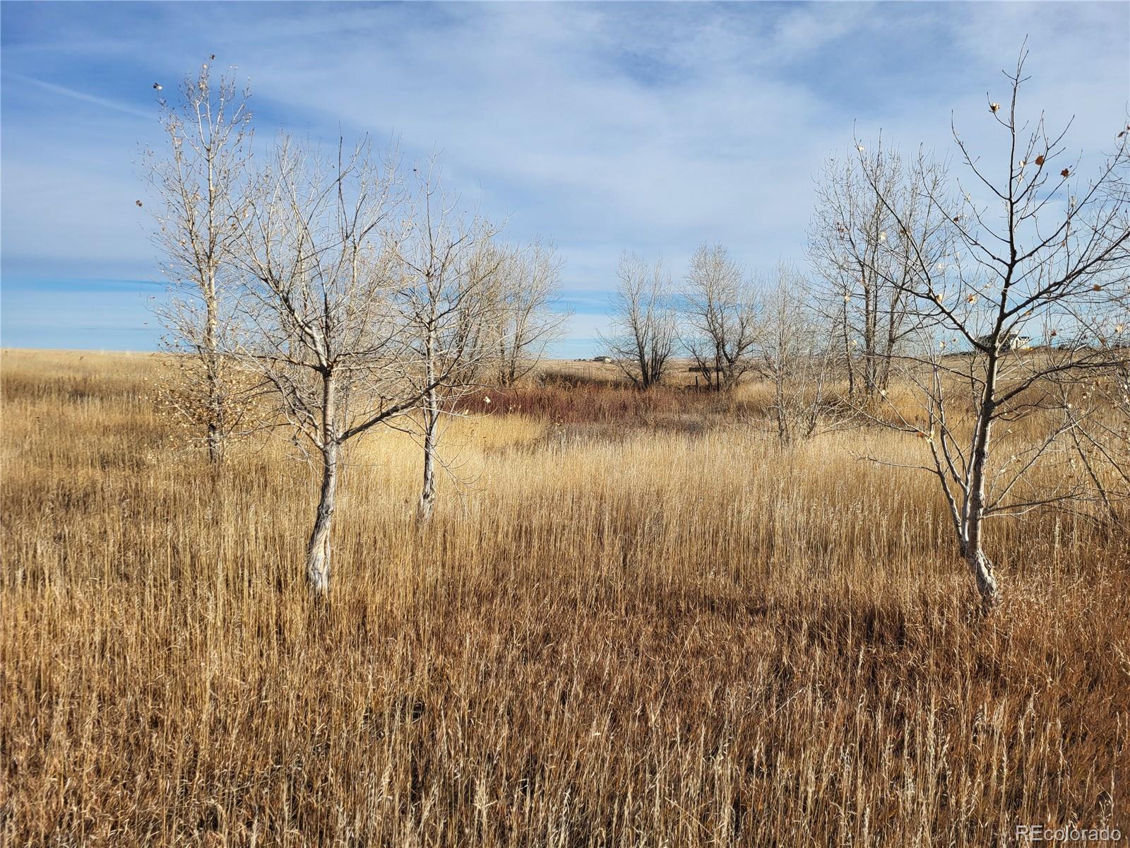 35635 County Road 160 Agate CO 80101