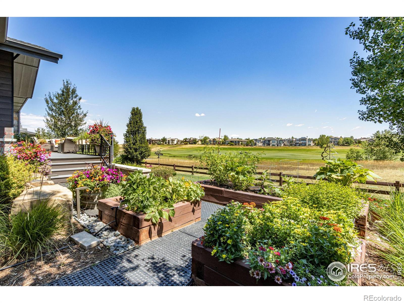 3890 Bidens Gate Drive Timnath CO 80547