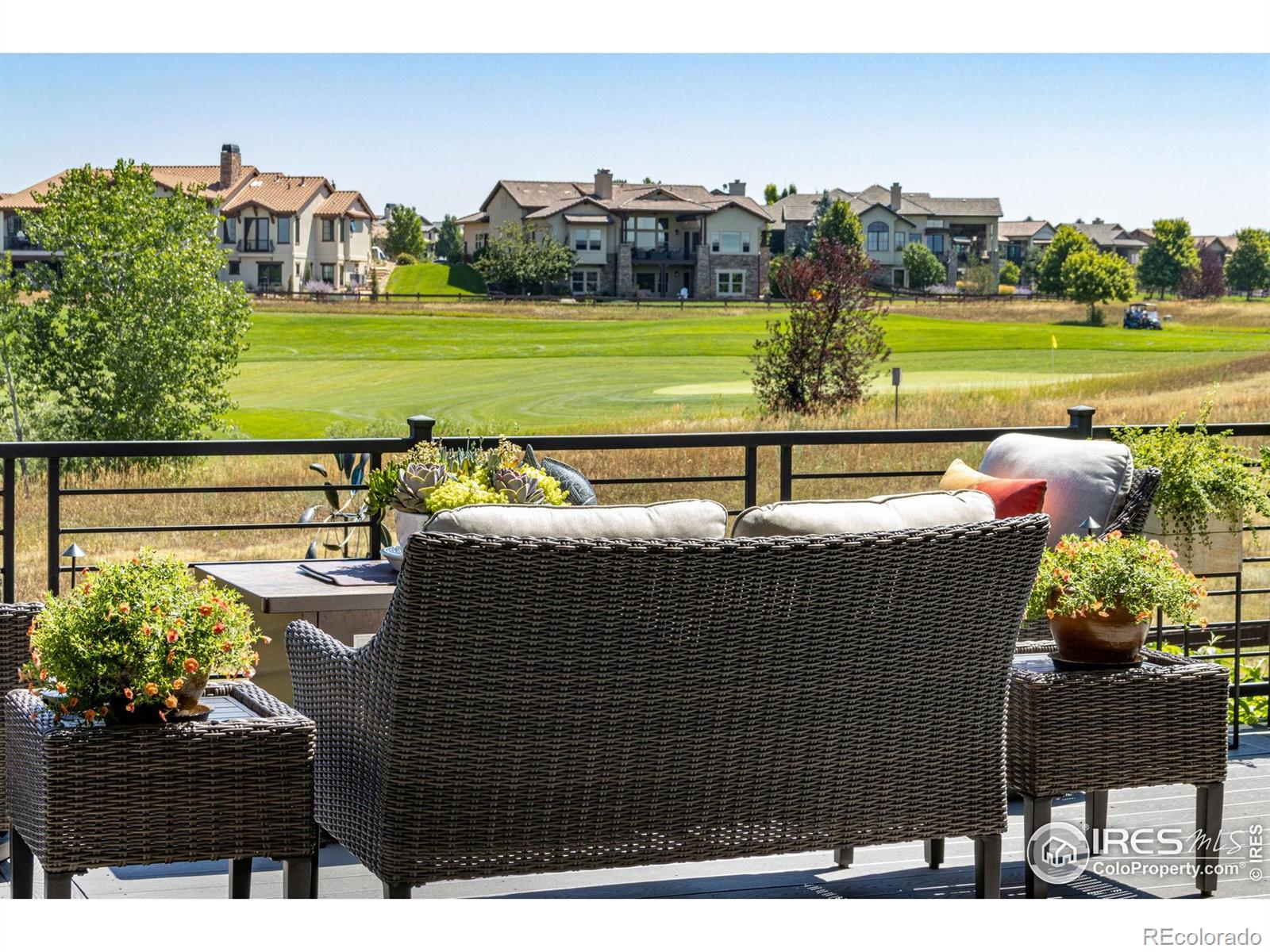 3890 Bidens Gate Drive Timnath CO 80547