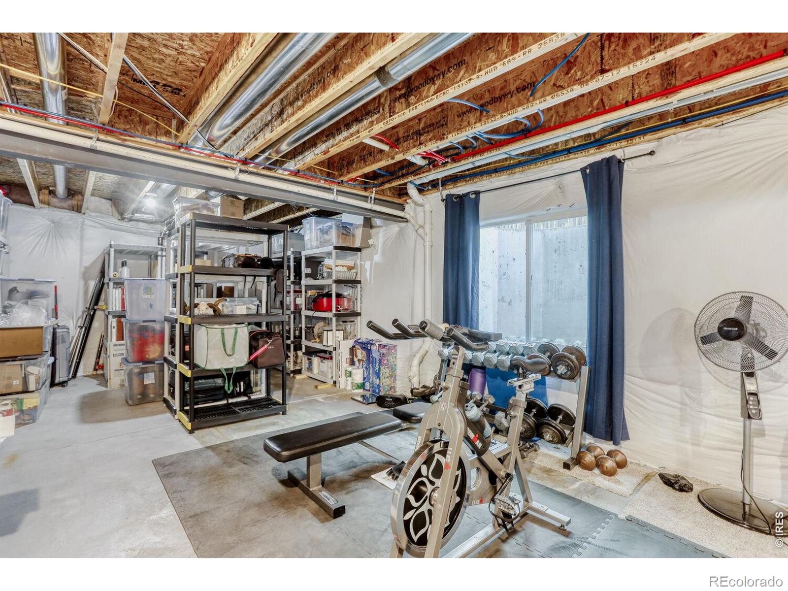 2116 Addie Rose Lane Longmont CO 80501