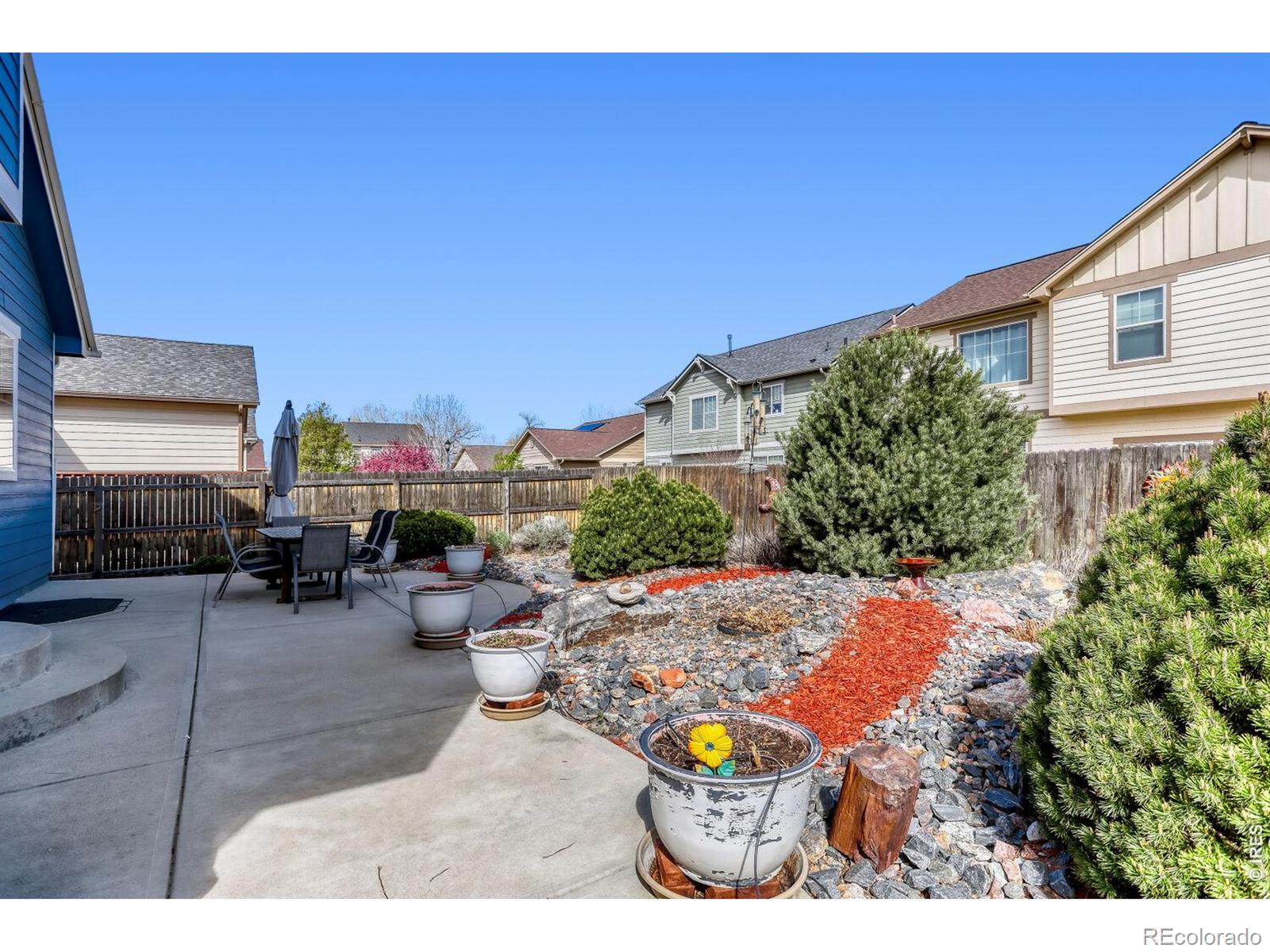 2116 Addie Rose Lane Longmont CO 80501