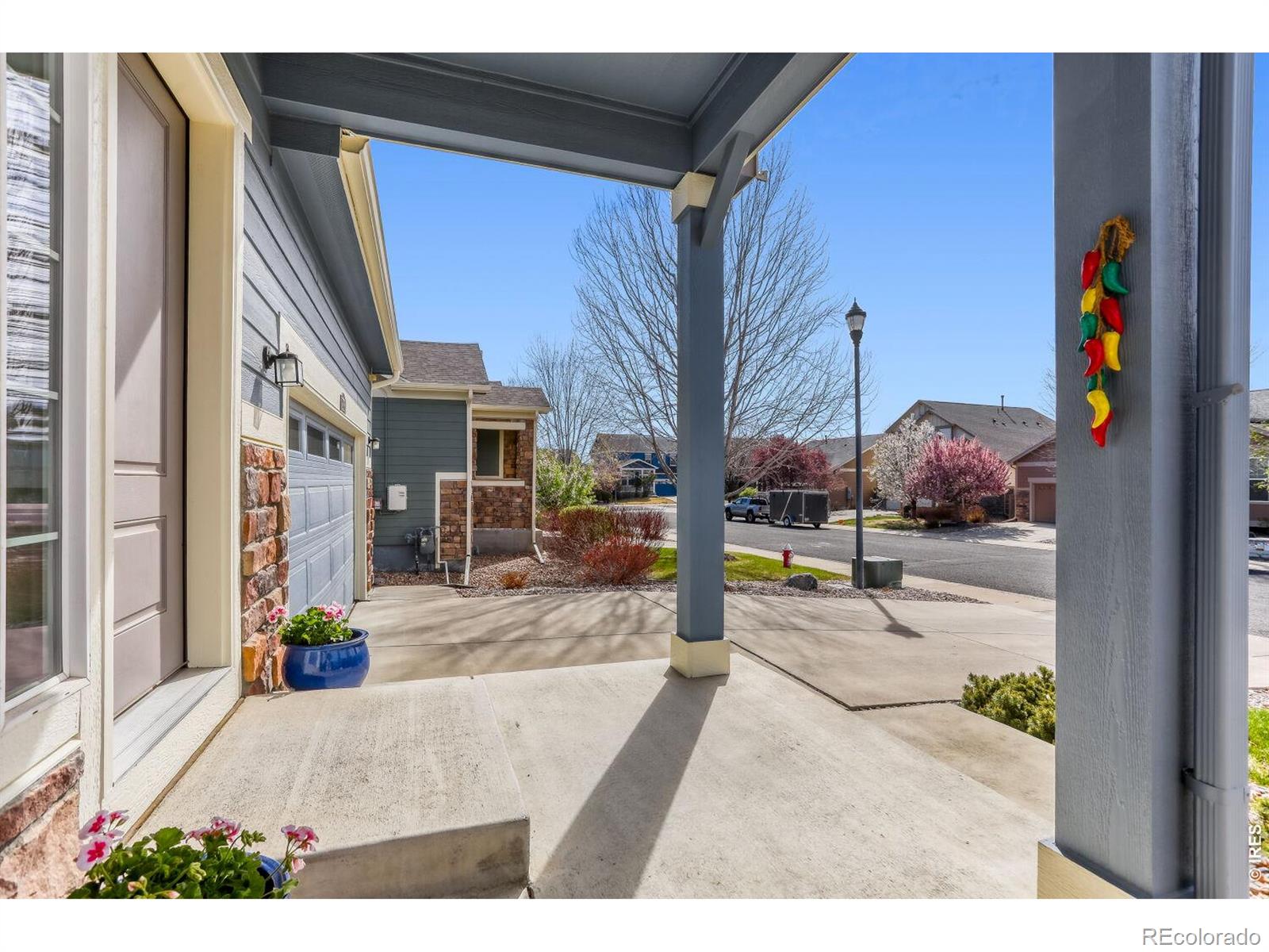 2116 Addie Rose Lane Longmont CO 80501
