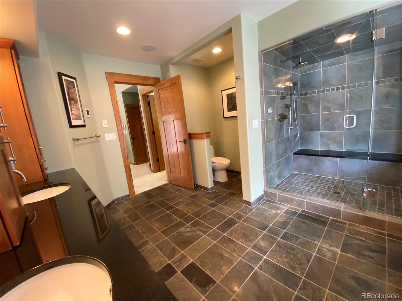 1145 S Williams Street Denver CO 80210