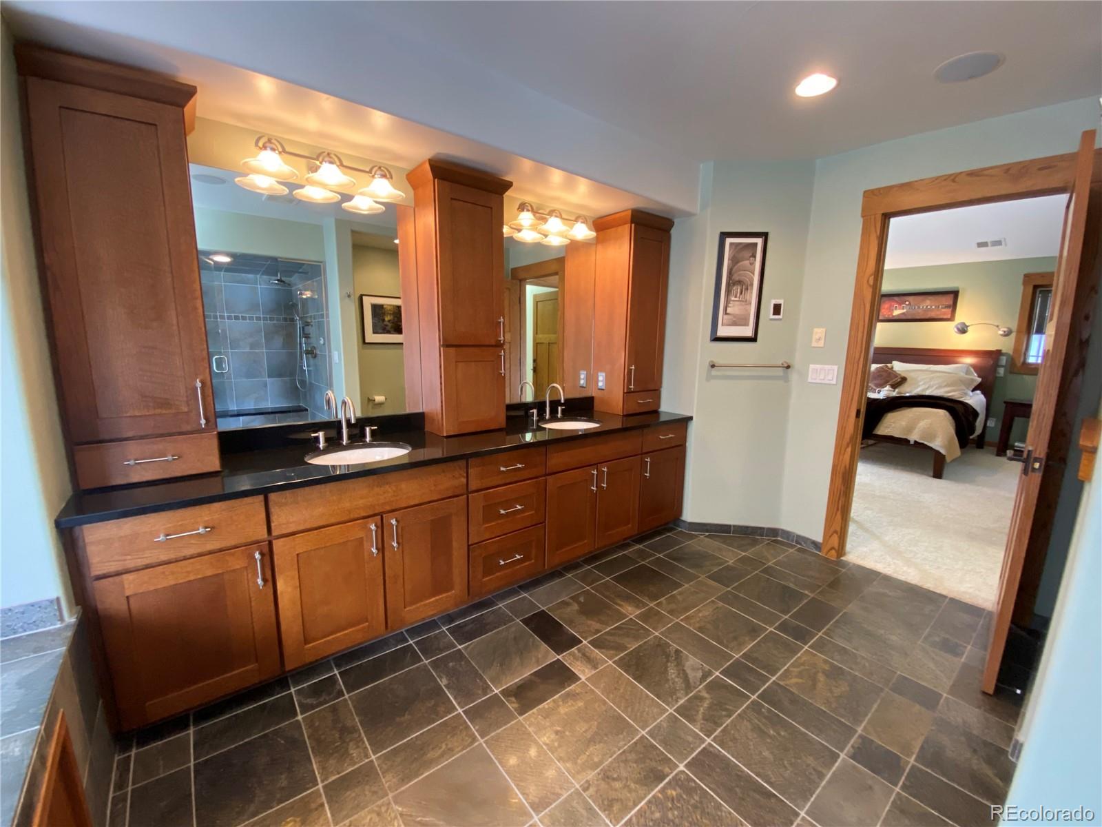 1145 S Williams Street Denver CO 80210