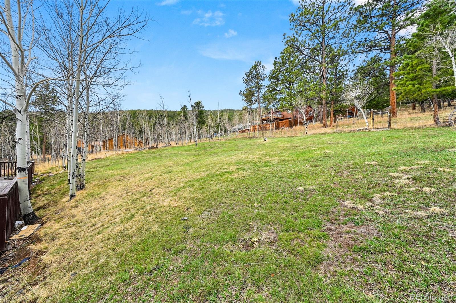 312 S Pine Drive Bailey CO 80421