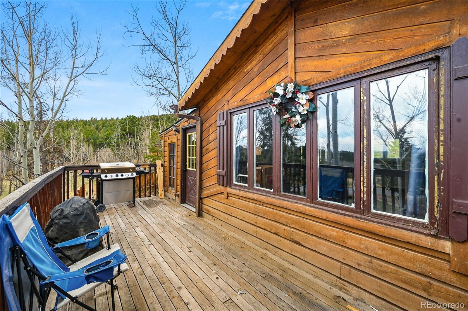 312 S Pine Drive Bailey CO 80421