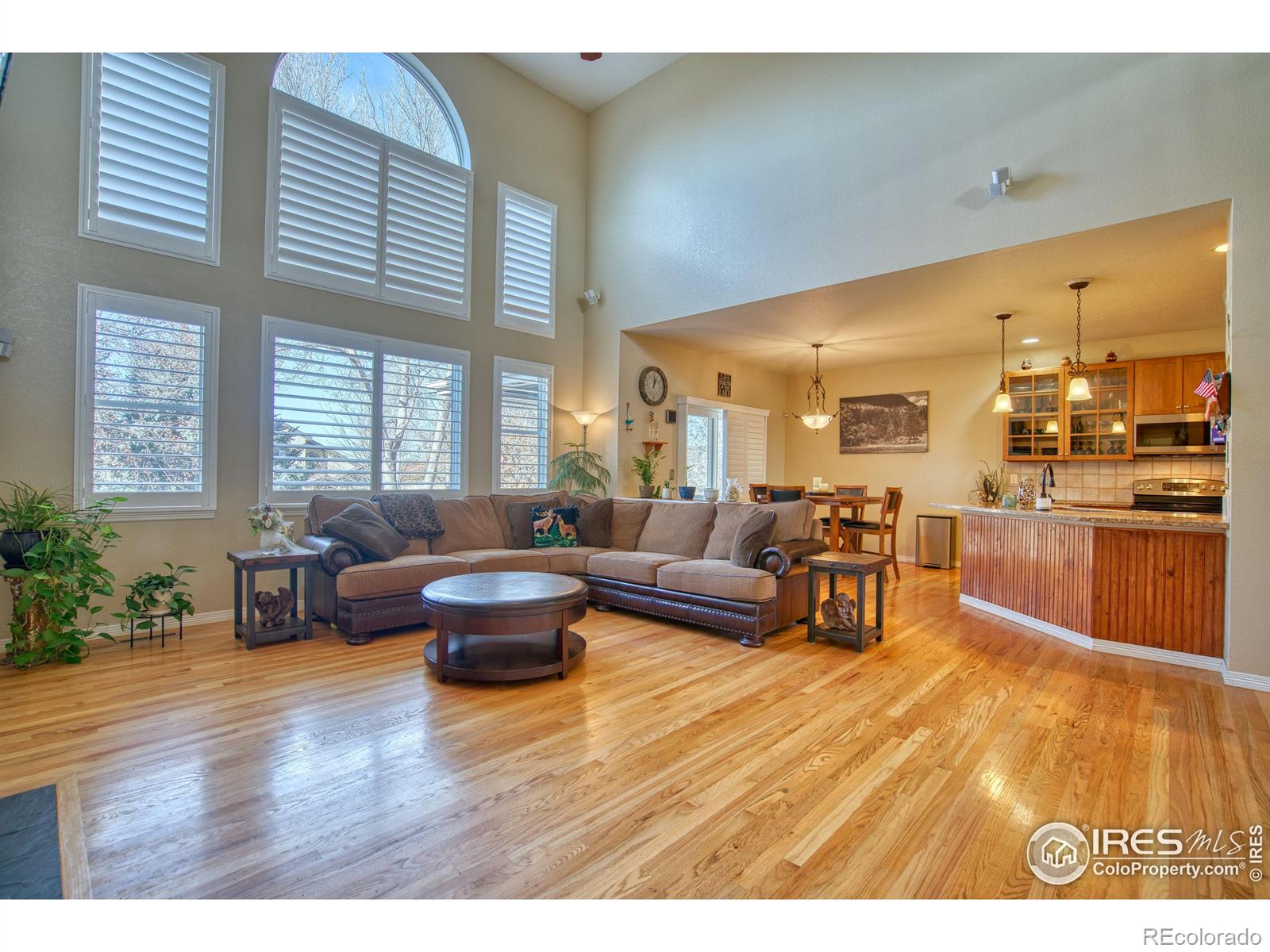 4842 Valley Oak Drive Loveland CO 80538