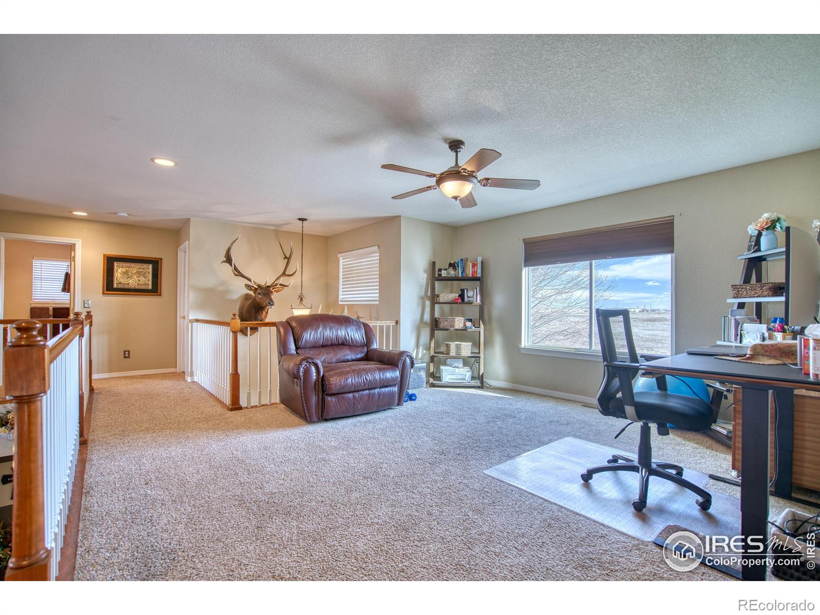 4842 Valley Oak Drive Loveland CO 80538