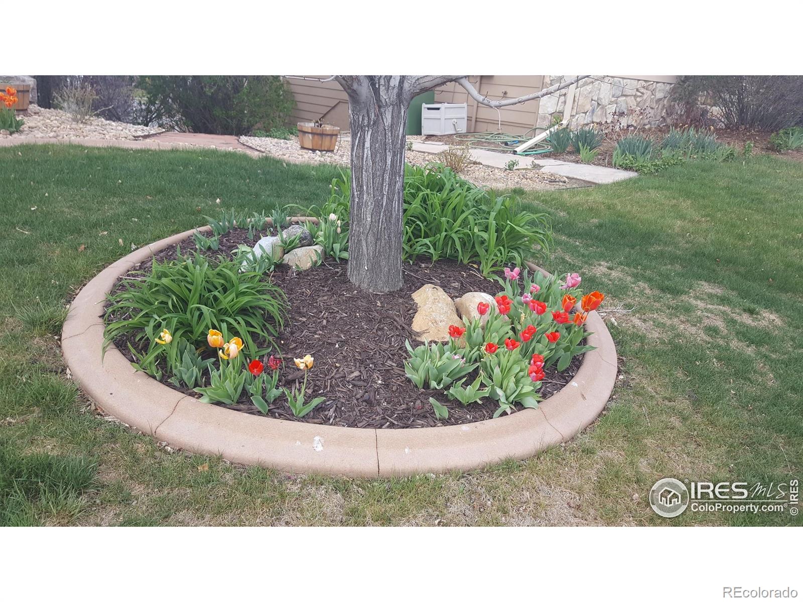 4842 Valley Oak Drive Loveland CO 80538