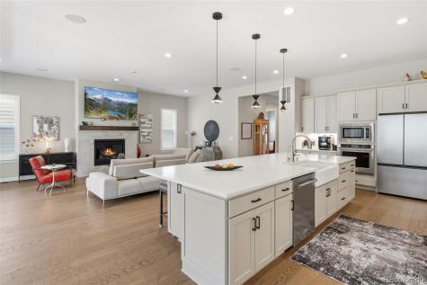 838 Bahia Point Castle Rock CO 80104