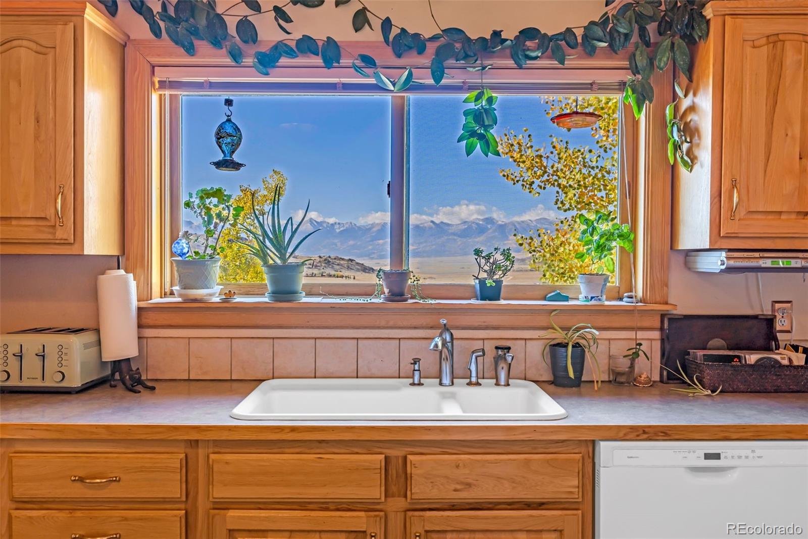3500 Oak Grove Circle Westcliffe CO 81252