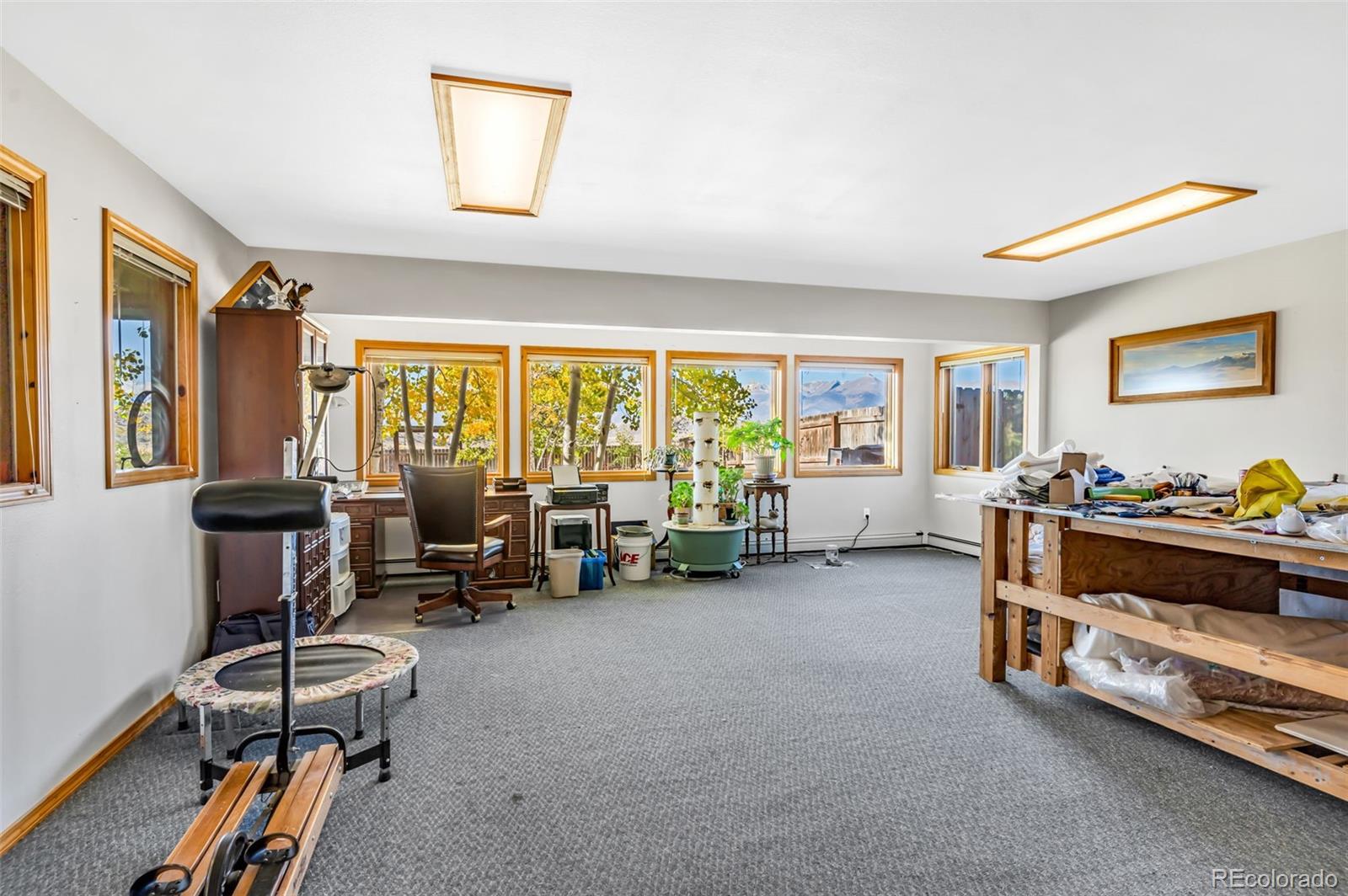 3500 Oak Grove Circle Westcliffe CO 81252
