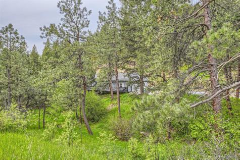 8787 S Deer Creek Canyon Road Littleton CO 80127
