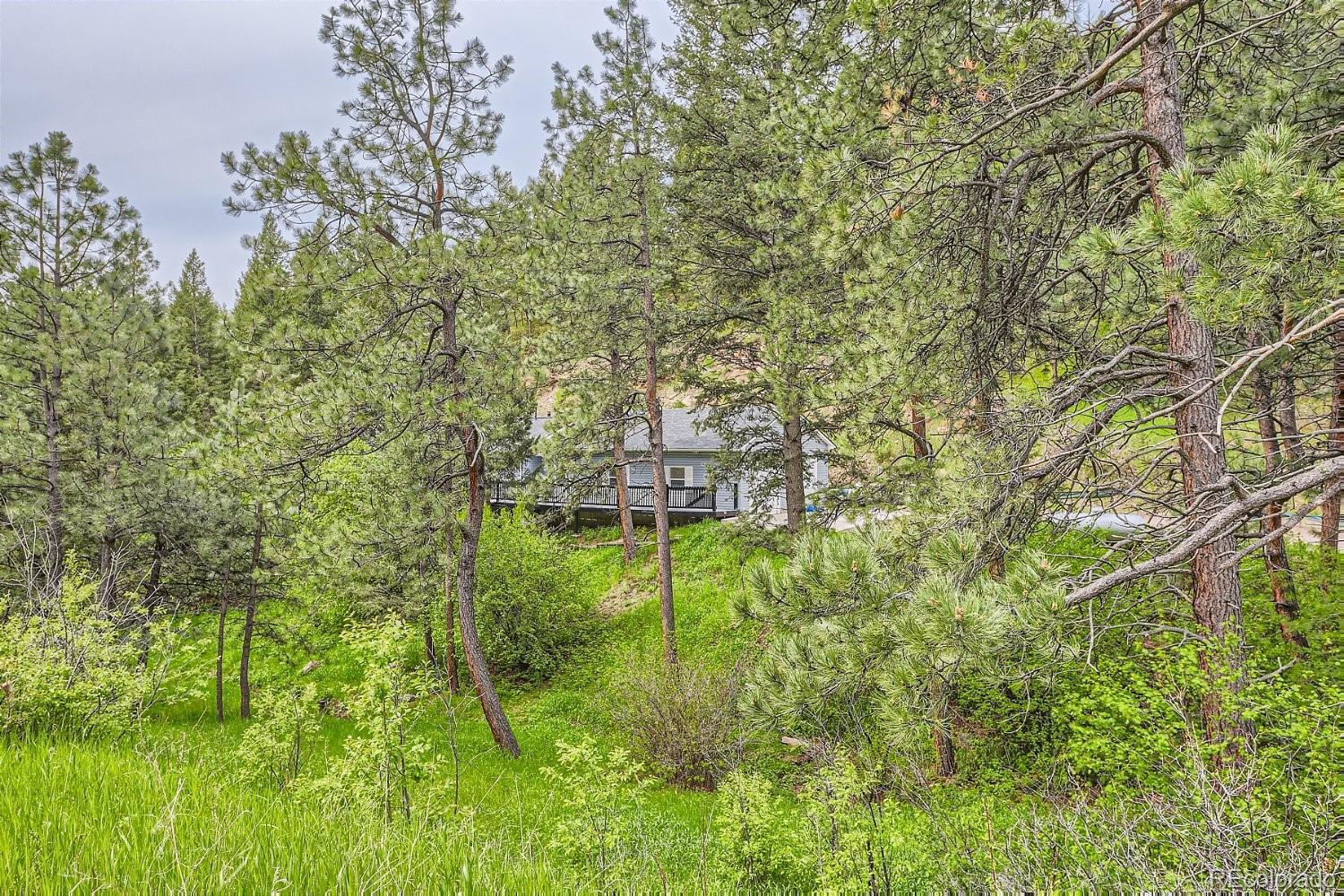 8787 S Deer Creek Canyon Road Littleton CO 80127