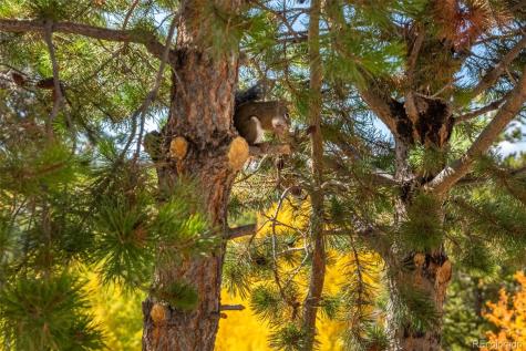 12735 Us Highway 34 Grand Lake CO 80447