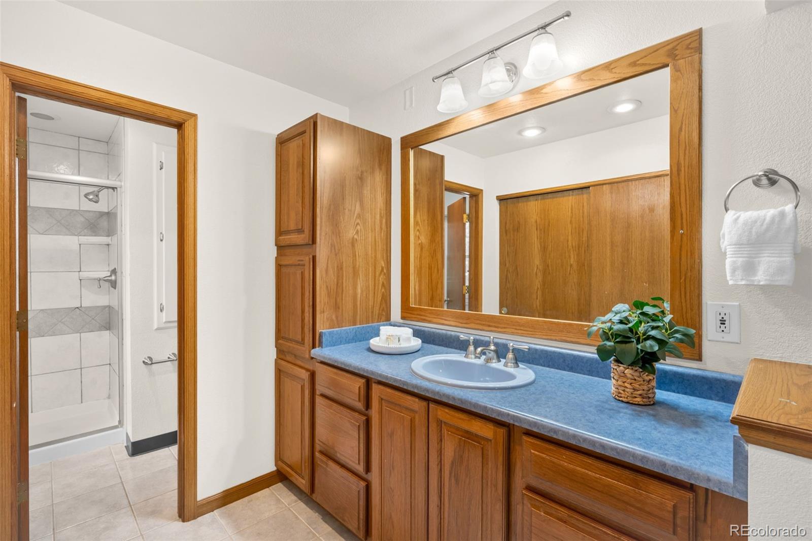 6470 S Locust Way Centennial CO 80111