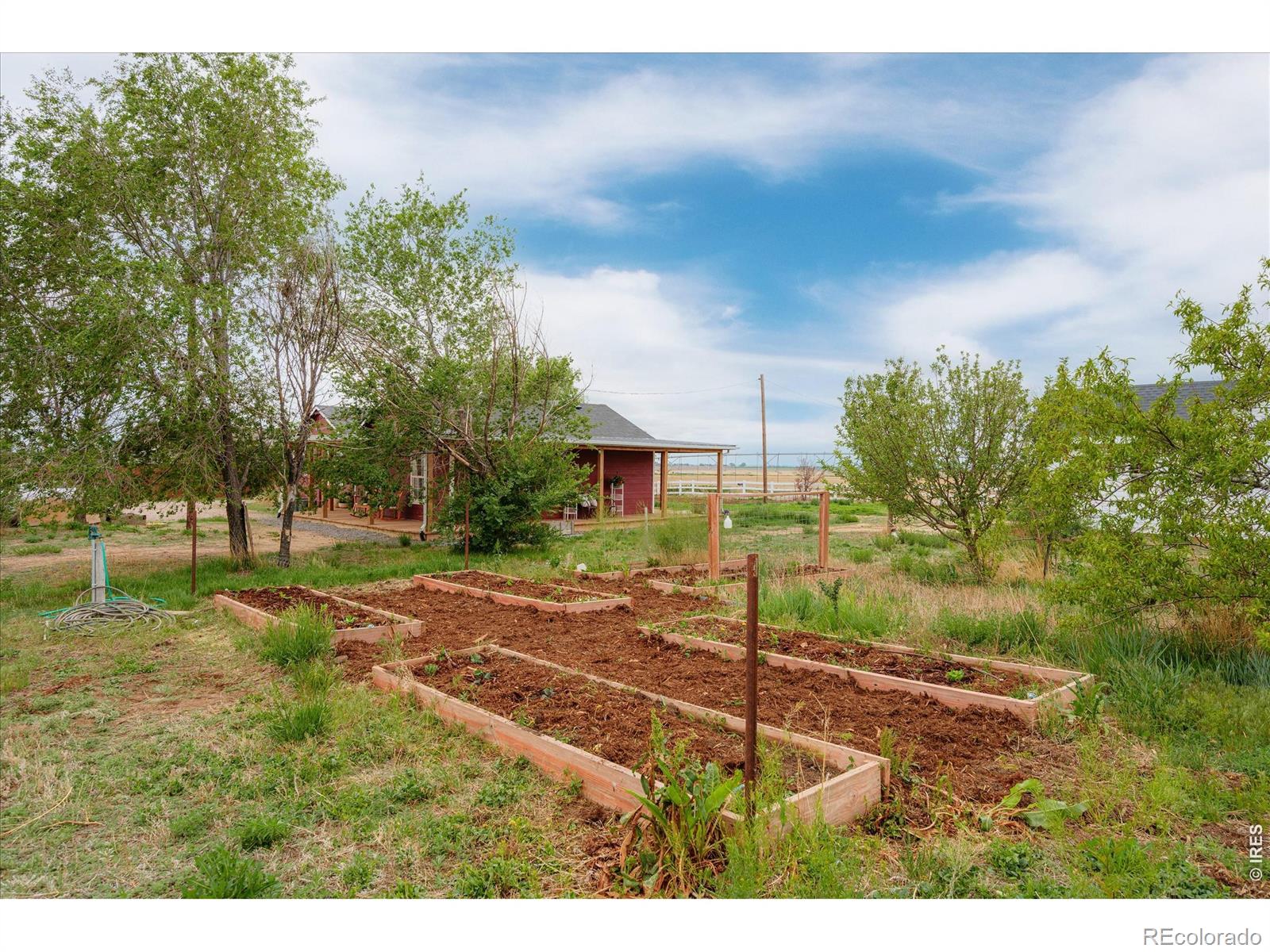 37648 County Road 49 Eaton CO 80615
