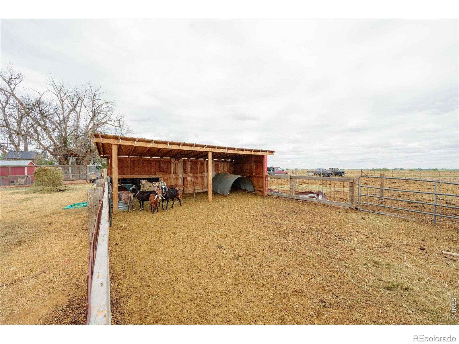 37648 County Road 49 Eaton CO 80615