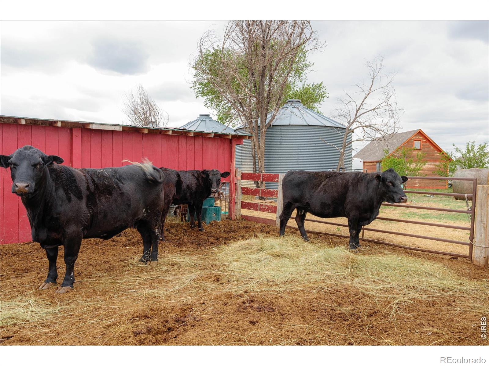 37648 County Road 49 Eaton CO 80615