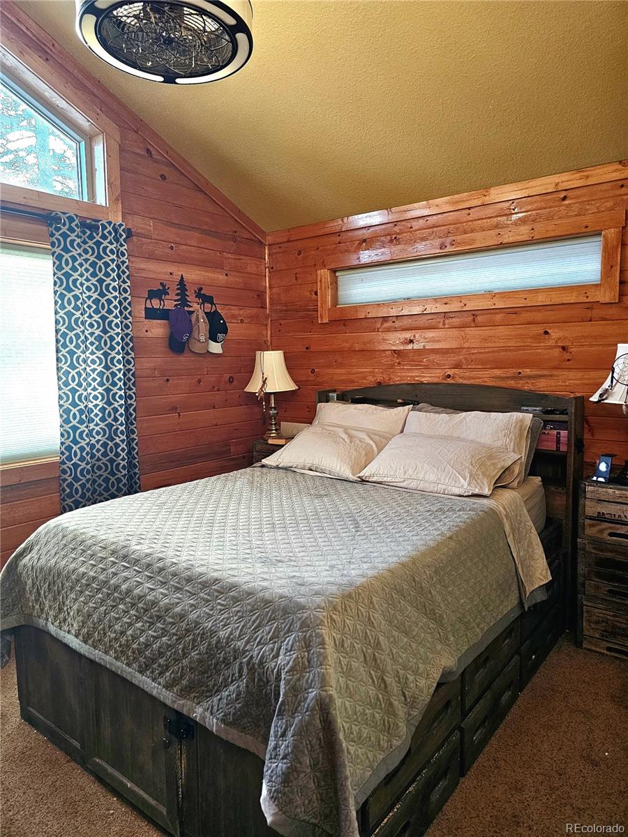 133 Gold Trail Fairplay CO 80440