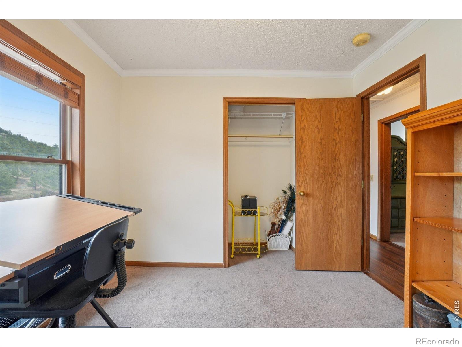 1860 Raven Avenue Estes Park CO 80517