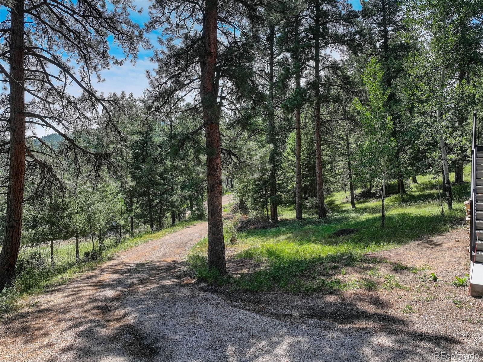 6343 Betty Lane Evergreen CO 80439
