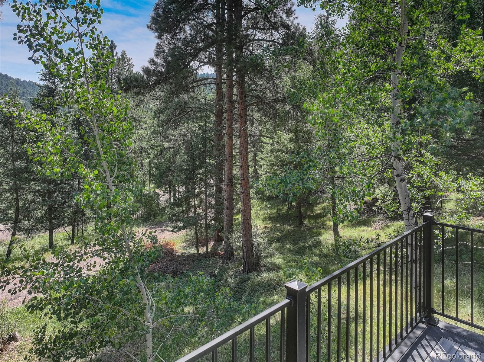 6343 Betty Lane Evergreen CO 80439