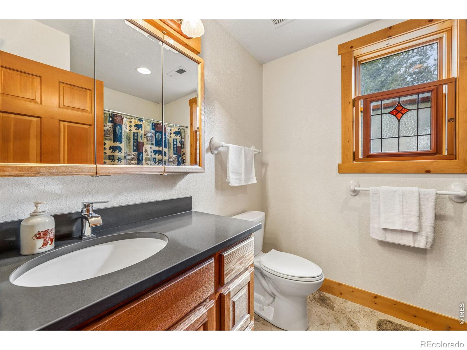 119 Berthoud Dale Lane Drake CO 80515
