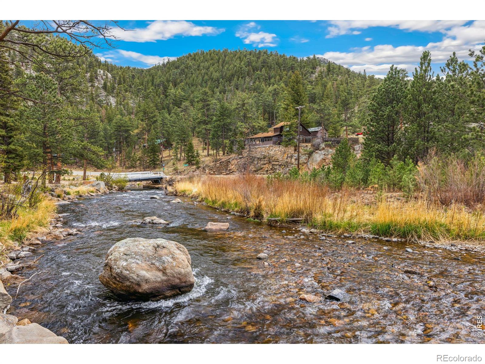 119 Berthoud Dale Lane Drake CO 80515