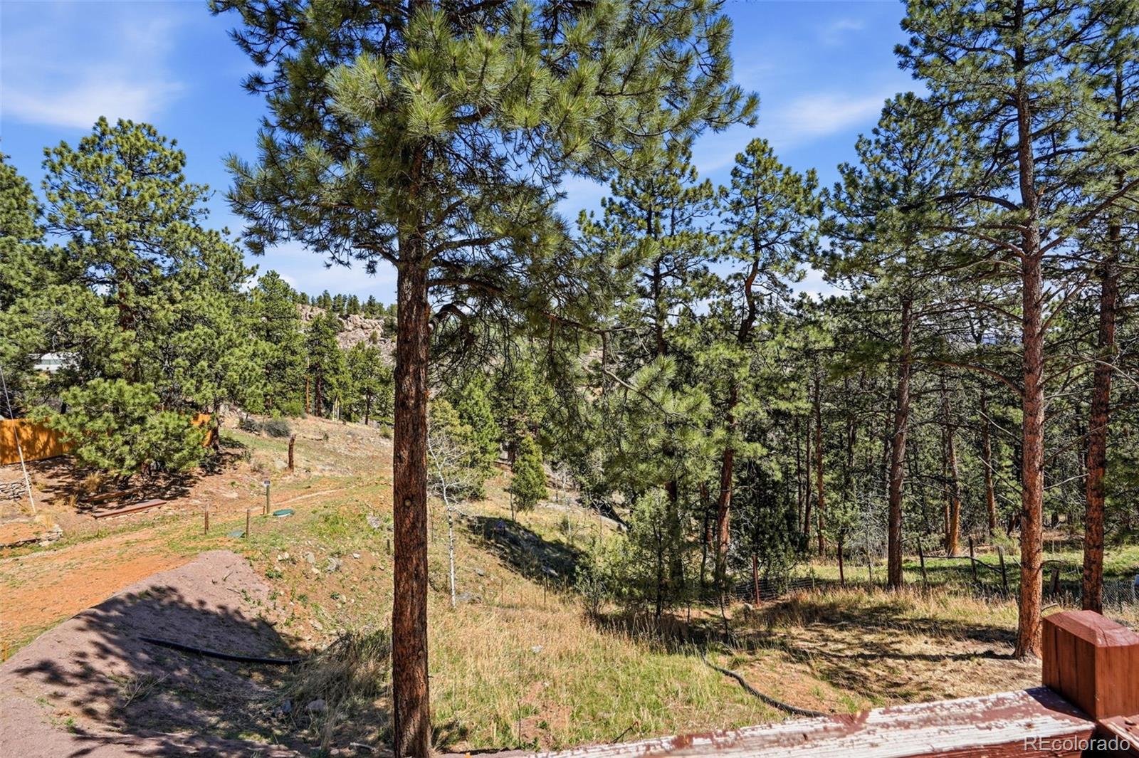 280 Bunny Road Bailey CO 80421