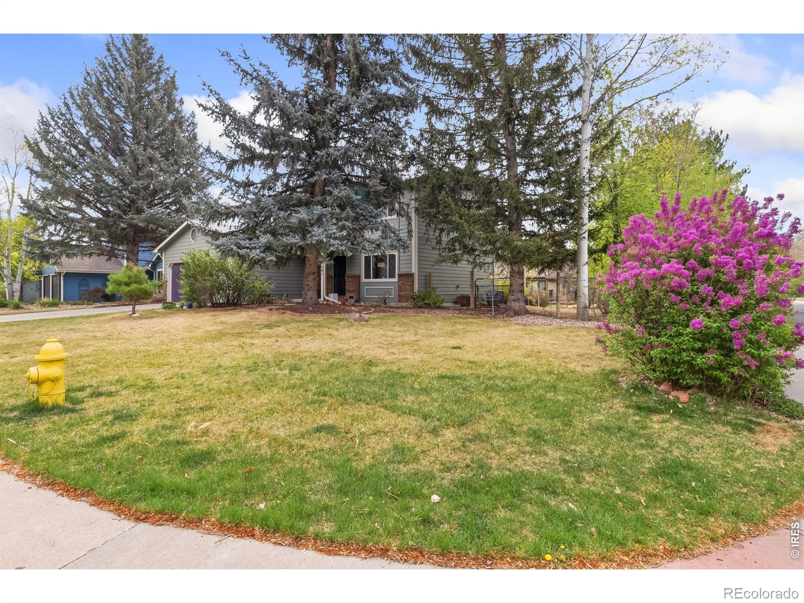 1601 Sagewood Drive Fort Collins CO 80525