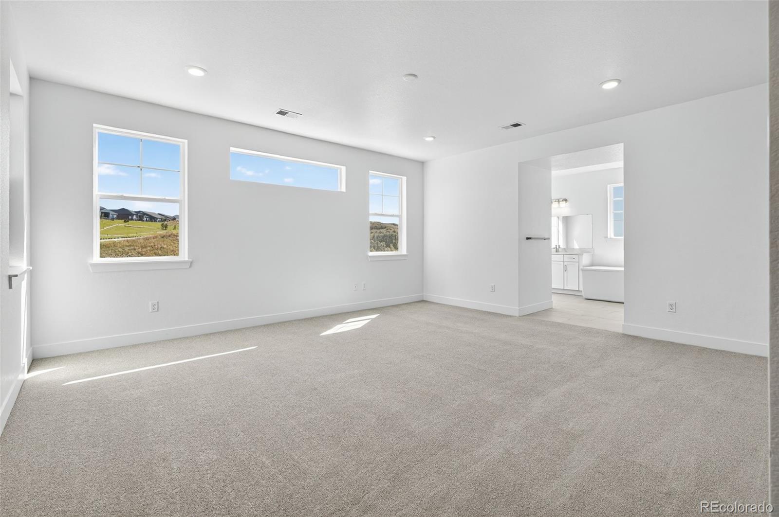3438 Backdrop Court Castle Rock CO 80108